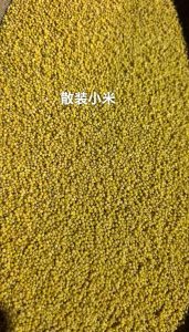 散装小米