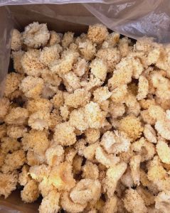 椴木银耳斤