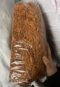 虫草花斤