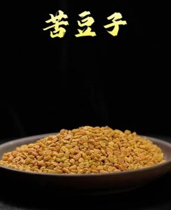 苦豆子