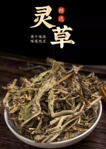 灵草