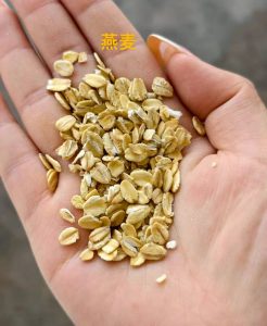 燕麦