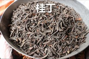 桂丁