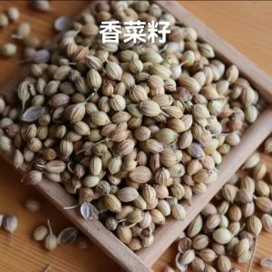 香菜籽