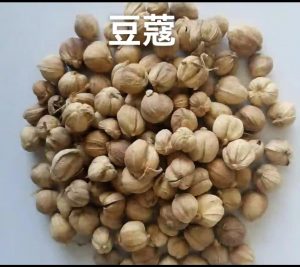 豆蔻